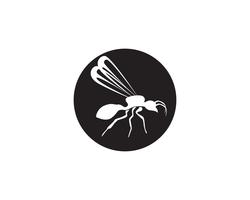 Ant Logo mall vektor illustration design