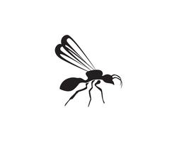 Ant Logo mall vektor illustration design