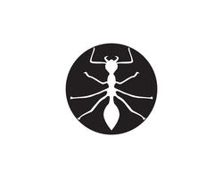 Ant Logo-Schablonenvektor-Illustrationsdesign vektor