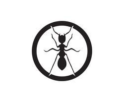 Ant Logo mall vektor illustration design