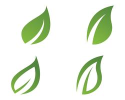 grünes Blatt Ökologie Natur Element Vektor Icon,