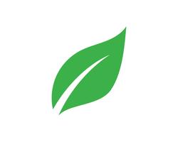 Logoer av grön trädblad ekologi