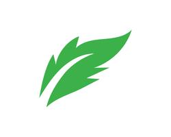 Logoer av grön trädblad ekologi vektor