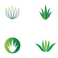 aloe vera logotyp vektor illustration mall