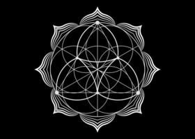 seed flower of life lotusikon, yantra mandala helig geometri, tatuering symbol för harmoni och balans. mystisk talisman, vita linjer vektor isolerad på svart bakgrund