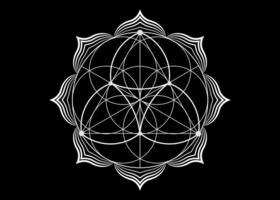 Samenblume des Lebens Lotus-Symbol, Yantra-Mandala heilige Geometrie, Tattoo-Symbol für Harmonie und Gleichgewicht. mystischer Talisman, Vektor der weißen Linien lokalisiert auf schwarzem Hintergrund