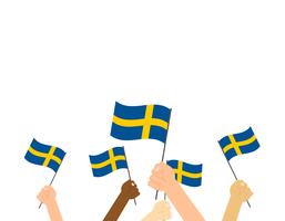 Vektor illustration händer som håller Sverige flaggor på vit bakgrund