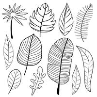 Leaves Doodle Vector Set. Vektor illustration.