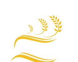Landwirtschaftsweizen Logo Template-Vektorikonendesign