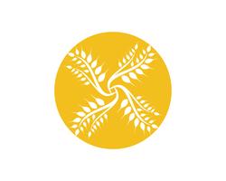 Landwirtschaftsweizen Logo Template-Vektorikonendesign vektor