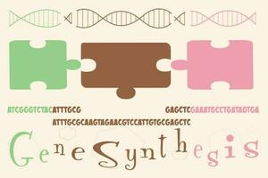 Diagramm darüber, wie synthetische DNA-Gene entworfen und konstruiert werden