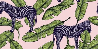 tropisches nahtloses muster des zebra- und bananenblattes. retro afrikanische tiere im gravurstil. vektor