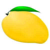 illustration av mango frukt vektor