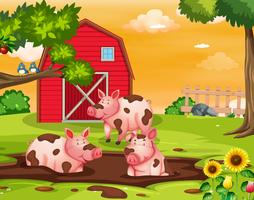Schwein auf dem Bauernhof vektor