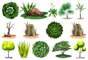Sats av olika växter vektor