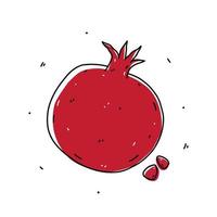 Granatapfelfrucht isoliert auf weißem Hintergrund. organische gesunde lebensmittel. handgezeichnete Vektorgrafik im Doodle-Stil. perfekt für Karten, Logos, Dekorationen, Rezepte, verschiedene Designs. vektor