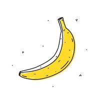 gul banan isolerad på vit bakgrund. ekologisk hälsosam mat. vektor handritad illustration i doodle stil. perfekt för kort, logotyp, dekorationer, recept, olika mönster.