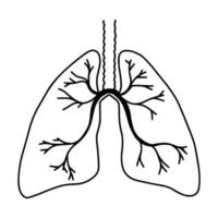 handgezeichnete Lungen, Doodle-Stil. innere organe des menschlichen gestaltungselements, anatomie, medizinkonzept. Gesundheitswesen. Vektor-Illustration vektor