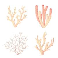 koraller, polyper vektor undervattensväxter. akvarium, hav och undervattensliv isolerad på vit bakgrund. akvariefauna och havsrevs livsmiljöer i en enkel tecknad stil. klistermärke samling.