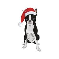 boston terrier bär santa hatt isolerad på vit bakgrund. vektor