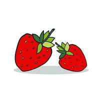 Cartoon-Erdbeere mit Schatten isoliert auf weißem Hintergrund. vektor