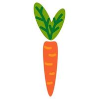 Orange Karotte mit grünen Blättern im flachen Stil isoliert auf weißem Hintergrund. vektor