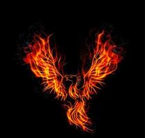 eld brinnande phoenix fågel med svart bakgrund vektor