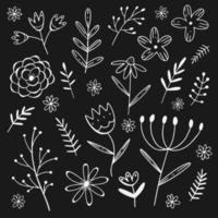 vektor uppsättning vita blommor och kvistar i doodle stil isolerad på svart bakgrund. hand rita vektorillustration. samling av dekorativa element.