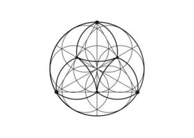 seed flower of life lotusikon, yantra mandala helig geometri, tatuering symbol för harmoni och balans. mystisk talisman, svarta linjer vektor isolerad på vit bakgrund