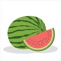 vattenmelon vektor illustration. vattenmelonskivor