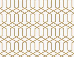 Abstraktes geometrisches Muster mit Linien. Ein nahtloser Vektor backgro