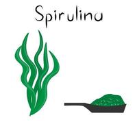 spirulina. hälsosam detox naturlig produkt. organik kosttillskott alger och pulver. supermat för homeopati. tecknad vektorillustration vektor