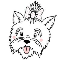 söt yorkshire terrier. vektor illustration i linjär handritad doodle stil