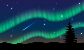 aurora, polarljus, norrsken eller södra ljus är en naturlig ljusskärm i jordens himmel, vektor