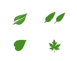 grön blad ekologi naturelement vektor ikon
