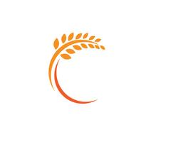Landwirtschaftsweizen Logo Template, gesunde Lebenlogo-Vektorikone vektor
