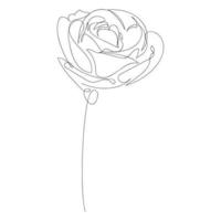 Liniendesign-Silhouettenzeichnung einer Rosenblume. Vektor-Illustration vektor