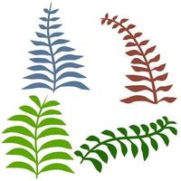 Farnblatt. Element der Natur und des Waldes. grüne Farnpflanze. vektor