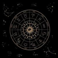 vektor illustration av de tolv zodiaken konstellationer. horoskopcirkel, astrologikarta på bakgrunden av den stjärnklara natthimlen i guldfärg.