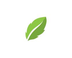 Logos der grünen Baumblattökologie vektor