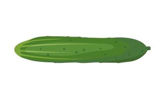 grön gurka ikon. utsökt hälsosam grönsak, färsk mat för salladsberedning, skörd. platt vektor illustration