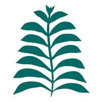 Farnblatt. Element der Natur und des Waldes. grüne oder blaue Farnpflanze. vektor