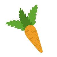 Vektorsymbol für reife Karotten. hand gezeichnete illustration lokalisiert auf weißem hintergrund. saftiges Gartengemüse für Ernährung, Entgiftung, gesunde Ernährung. cartoon orange wurzelernte im flachen stil. landwirtschaftliches Produkt vektor