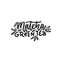 Matcha-Grüntee. lineare kalligrafie handgezeichneter vektorbeschriftungstext mit blattdekor. vektor