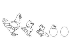 Schwarz-Weiß-Hühner-Evolution. Vektorillustration der Hühnerevolution. Ei, Huhn, Henne