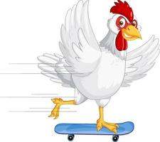 ein weißes Huhn, das auf einem Skateboard fährt vektor