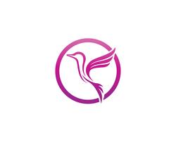 Hummingbird icon logo och symboler mall vektor