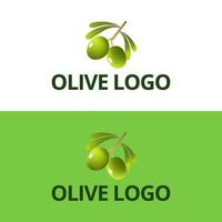 olivenöl-logo mit modernem emblem-linienkunststil mit kombiniertem blatt-, wasser-, olivenzweig- und blatt-steinfrucht-prämienvektor. vektor