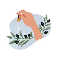 essentielle Öle. Olivenöl und Zweig. elegante weibliche hand, die eine pipette hält. Heilkraut mit Glastropfer. Kosmetik, Medizin, Behandlung, Aromatherapie, Verpackungsdesign. flache vektorillustration. vektor