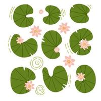 japanska eller kinesiska blommor och lilypads set. samling av rosenvatten lotus och löv ovanifrån. upp visa komposition. vektor platt handritad illustration.